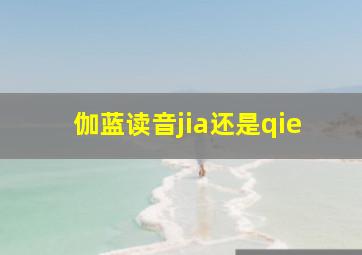 伽蓝读音jia还是qie