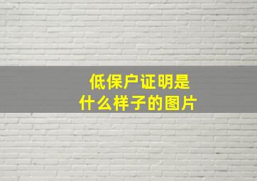 低保户证明是什么样子的图片