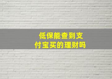 低保能查到支付宝买的理财吗