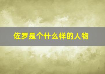 佐罗是个什么样的人物