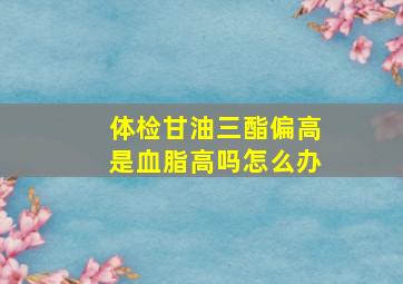 体检甘油三酯偏高是血脂高吗怎么办