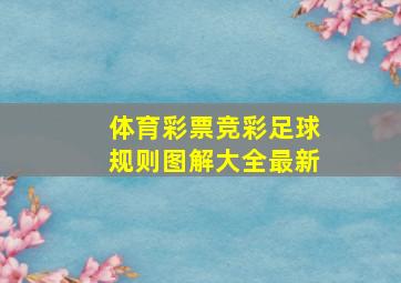 体育彩票竞彩足球规则图解大全最新