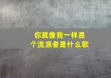 你就像我一样是个流浪者是什么歌