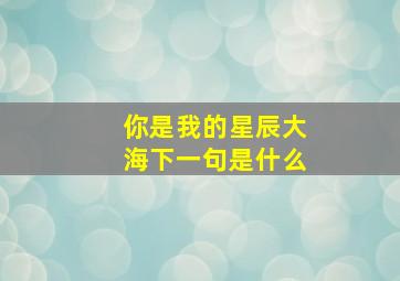 你是我的星辰大海下一句是什么