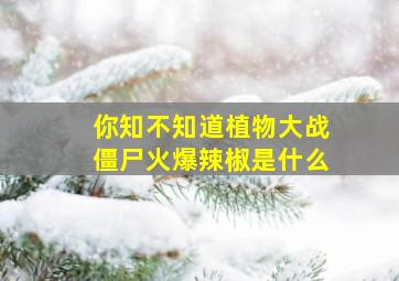 你知不知道植物大战僵尸火爆辣椒是什么