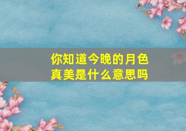 你知道今晚的月色真美是什么意思吗