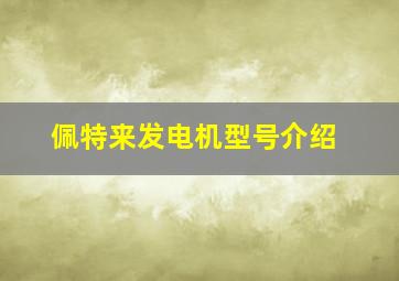 佩特来发电机型号介绍