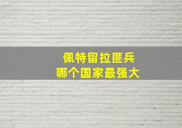 佩特留拉匪兵哪个国家最强大