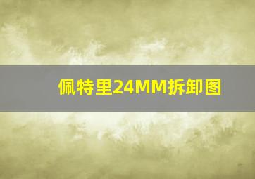 佩特里24MM拆卸图