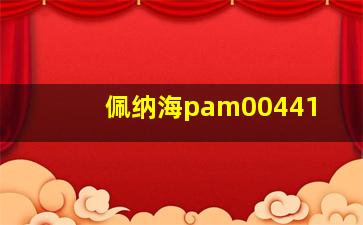 佩纳海pam00441