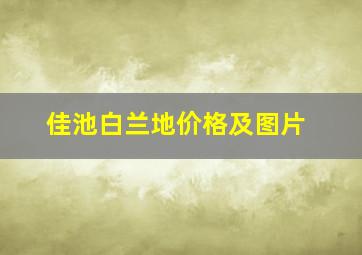 佳池白兰地价格及图片