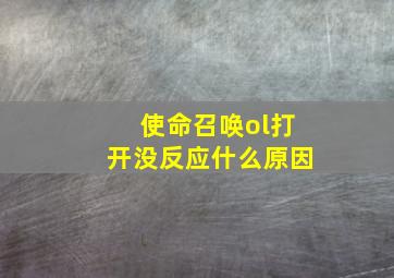 使命召唤ol打开没反应什么原因