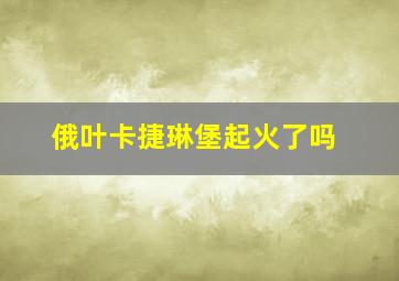 俄叶卡捷琳堡起火了吗