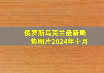 俄罗斯乌克兰最新局势图片2024年十月