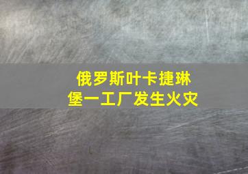 俄罗斯叶卡捷琳堡一工厂发生火灾