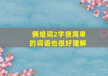 俩组词2字很简单的词语也很好理解