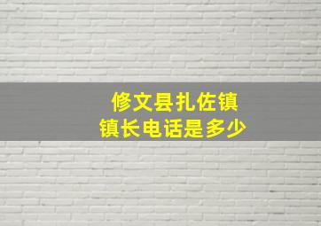 修文县扎佐镇镇长电话是多少