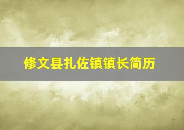 修文县扎佐镇镇长简历