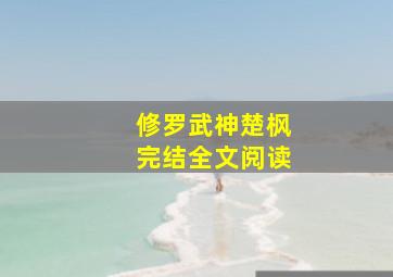 修罗武神楚枫完结全文阅读