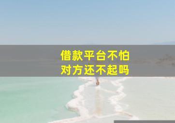 借款平台不怕对方还不起吗