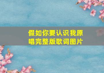 假如你要认识我原唱完整版歌词图片