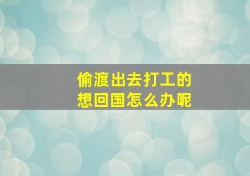 偷渡出去打工的想回国怎么办呢