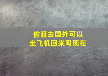 偷渡去国外可以坐飞机回来吗现在