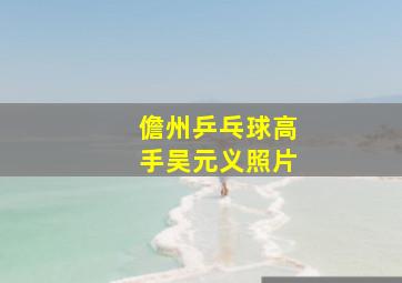 儋州乒乓球高手吴元义照片