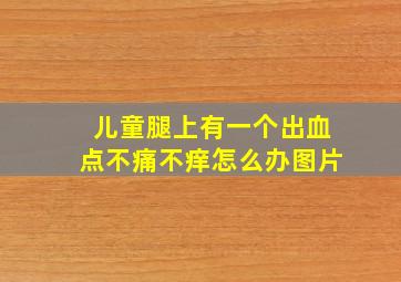 儿童腿上有一个出血点不痛不痒怎么办图片