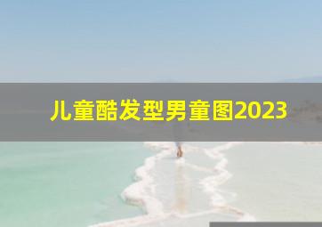 儿童酷发型男童图2023