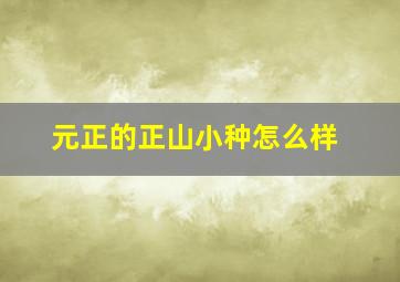 元正的正山小种怎么样