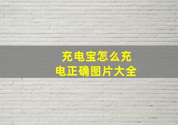 充电宝怎么充电正确图片大全