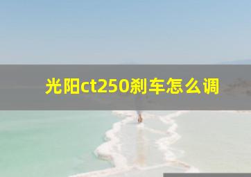 光阳ct250刹车怎么调