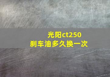 光阳ct250刹车油多久换一次