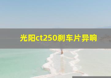 光阳ct250刹车片异响