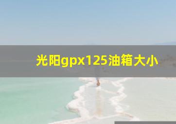 光阳gpx125油箱大小