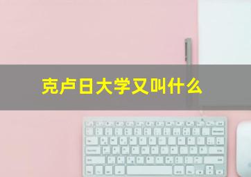 克卢日大学又叫什么