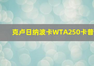 克卢日纳波卡WTA250卡普