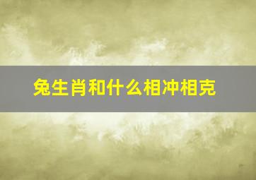 兔生肖和什么相冲相克