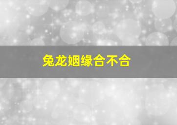 兔龙姻缘合不合