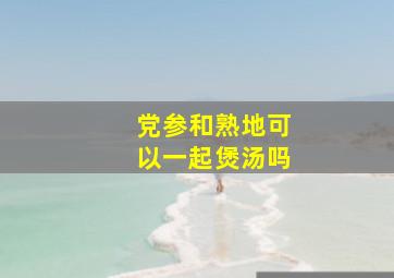 党参和熟地可以一起煲汤吗