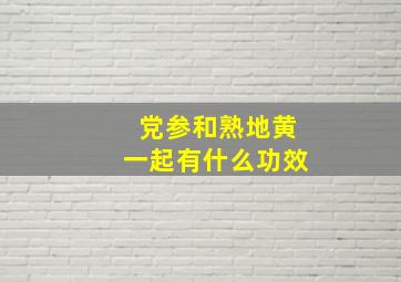 党参和熟地黄一起有什么功效