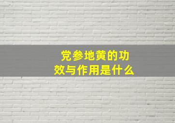 党参地黄的功效与作用是什么