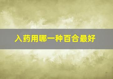 入药用哪一种百合最好