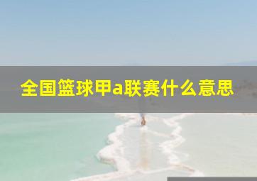 全国篮球甲a联赛什么意思