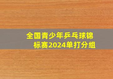 全国青少年乒乓球锦标赛2024单打分组