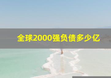 全球2000强负债多少亿