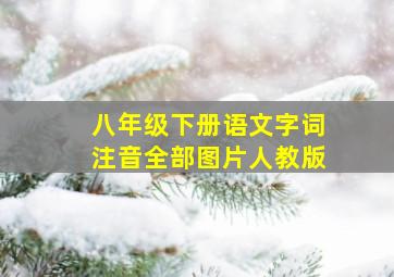 八年级下册语文字词注音全部图片人教版