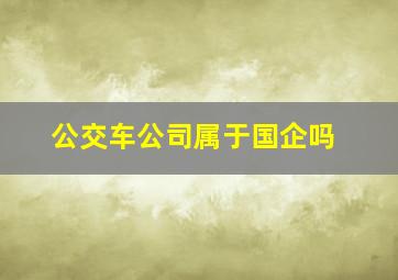 公交车公司属于国企吗