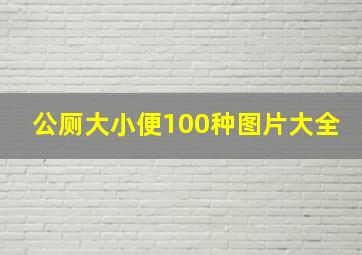 公厕大小便100种图片大全